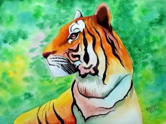 tiger by Rakhi Vashisht